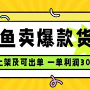 闲鱼卖爆款货源,每天利润1000,上架即出单