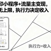 去水印小程序+流量主变现，收益无上限，执行力决定收入