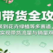 AI带货全攻略,从服装到花卉绿植等多赛道,教你用AI实现带货流量与销量双提升