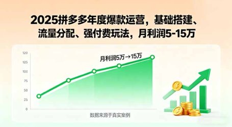 2025拼多多年度爆款运营，基础搭建、流量分配、强付费玩法，月利润5-15万