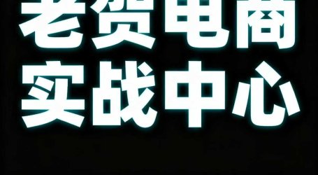 老贺电商2025年拼多多付费课程，用通俗易懂的方法告诉你多多怎么玩