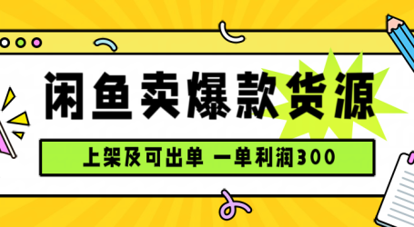 闲鱼卖爆款货源，每天利润1000，上架即出单