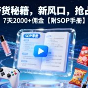 B站带货秘籍,新风口,抢占红利,7天2k+佣金【附SOP手册】