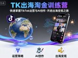 TK出海淘金训练营,助你快速掌握TikTok运营与AI创作,开启出海变现之路