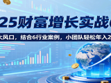 2025财富增长实战6.0,聚焦7大风口,结合6行业案例,小团队轻松年入200万!