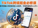 TikTo跨境掘金必修课，账号搭建+双变现项目+AI创作，可矩阵复制月入3万+