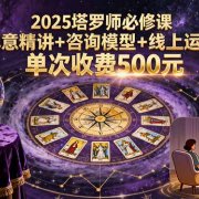 2025塔罗师必修课，牌意精讲+咨询模型+线上运营，单次收费500元