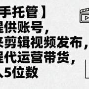 【快手托管】你提供账号,我来剪辑视频发布,全程代运营带货,月入5位数【揭秘】