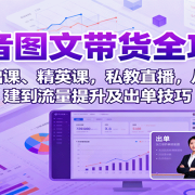 抖音图文带货全攻略：含基础课、精英课，私教直播，从账号搭建到流量提升及出单技巧