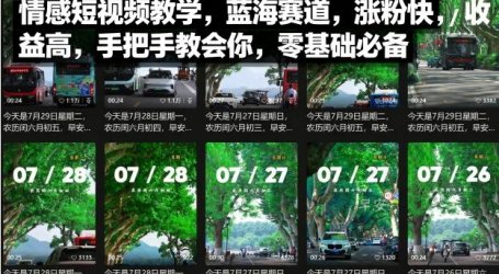 情感短视频教学，蓝海赛道，涨粉快，收益高，手把手教会你，零基础必备