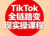 小杨老师·TikTok全链路变现实操课程