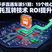 2025拼多多直通车课51期：15个核心操作模块 独创稳托互转技术 ROI提升400%