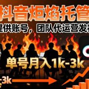 【抖音炬焰托管】你提供账号,团队代运营发视频,单号月入1k+【揭秘】