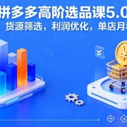 2025拼多多高阶选品课5.0：爆品模型，货源筛选，利润优化，单店月利3万+