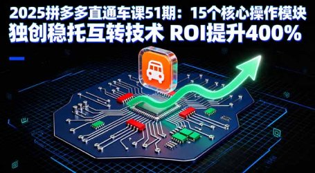 2025拼多多直通车课51期：15个核心操作模块 独创稳托互转技术 ROI提升400%