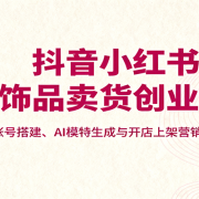抖音小红书饰品卖货创业课，账号搭建、AI模特生成与开店上架营销全流程