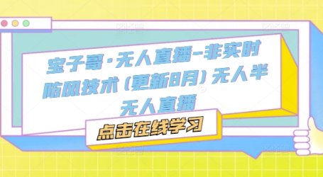 宝子哥·无人直播-非实时防风技术(更新25年9月)无人半无人直播