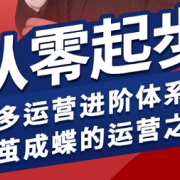 海神·拼多多运营进阶系统课(更新9月)