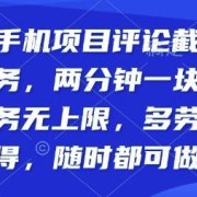 纯手机项目评论截图任务，两分钟一块钱多劳多得，随时随地都能做【揭秘】
