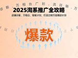 2025淘系推广全攻略，店铺诊断、万相台、智能计划，打造日销万级爆款计划
