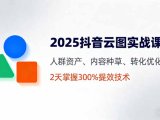 2025抖音云图实战课,人群资产、内容种草、转化优化,2天掌握300%提效技术