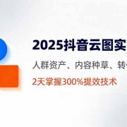 2025抖音云图实战课,人群资产、内容种草、转化优化,2天掌握300%提效技术