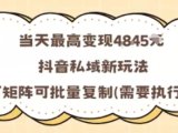当天最高变现1k+,抖音私域新玩法,可矩阵可批量复制
