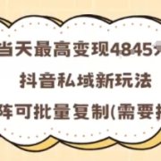 当天最高变现1k+,抖音私域新玩法,可矩阵可批量复制