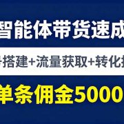 AI智能体带货速成课，账号搭建+流量获取+转化技巧，单条佣金5000+