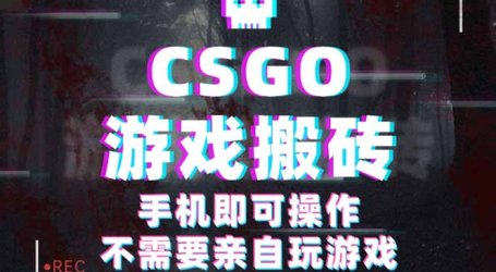 CSGO游戏挂机捡漏,单日扫货500+,年底小高峰上车可吃肉,手机即可操作…