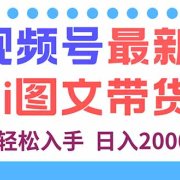 视频号最新AI图文带货，每天几分钟，小白轻松入手，日入2000+