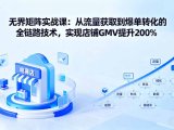 无界矩阵实战课：从流量获取到爆单转化的全链路技术，实现店铺GMV提升200%