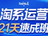 白凤电商·淘系运营21天速成班(更新9月)