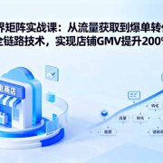 无界矩阵实战课：从流量获取到爆单转化的全链路技术，实现店铺GMV提升200%