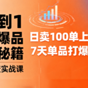 抖音小店爆品打造与矩阵裂变实战课
