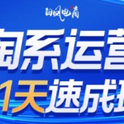 白凤电商·淘系运营21天速成班(更新9月)