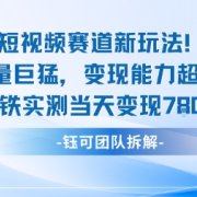 新赛道新玩法流量巨猛变现能力超强老铁实测当天变现7张