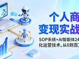 个人商业变现实战课:SOP系统+AI智能体24小自动化运营技术,从0到百万收入