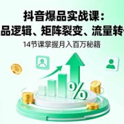 抖音爆品实战课:选品逻辑、矩阵裂变、流量转化,14节课掌握月入百万秘籍