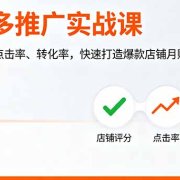 拼多多推广实战课,店铺评分、点击率、转化率,快速打造爆款店铺月赚5.8万
