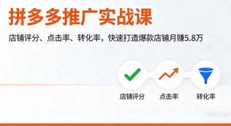 拼多多推广实战课，店铺评分、点击率、转化率，快速打造爆款店铺月赚5.8万