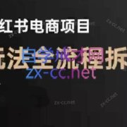 菲菲老师·小红书电商玩法(更新9月)