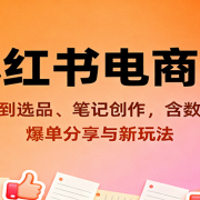 小红书电商课：从开店到选品、笔记创作，含数据分析，爆单分享与新玩法