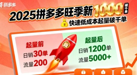 2025拼多多旺季新老店铺——快速低成本起量破千单