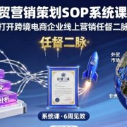 外贸营销策划SOP系统课程，打开跨境电商企业线上营销任督二脉