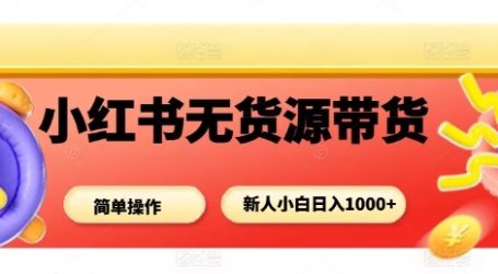 小红书无货源带货项目，简单无脑，新人小白日入多张