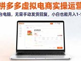 拼多多虚拟电商实操运营，一台电脑，无需手动发货回复，小白也能月入1-5W