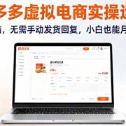 拼多多虚拟电商实操运营，一台电脑，无需手动发货回复，小白也能月入1-5W