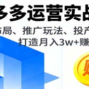 拼多多运营实战课,活动布局、推广玩法、投产优化,打造月入3w+赚钱店铺