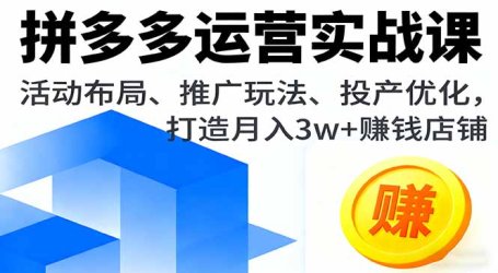 拼多多运营实战课，活动布局、推广玩法、投产优化，打造月入3w+赚钱店铺
